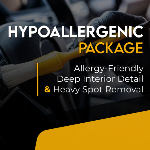 HYPOALLERGENIC INTERIOR DETAIL